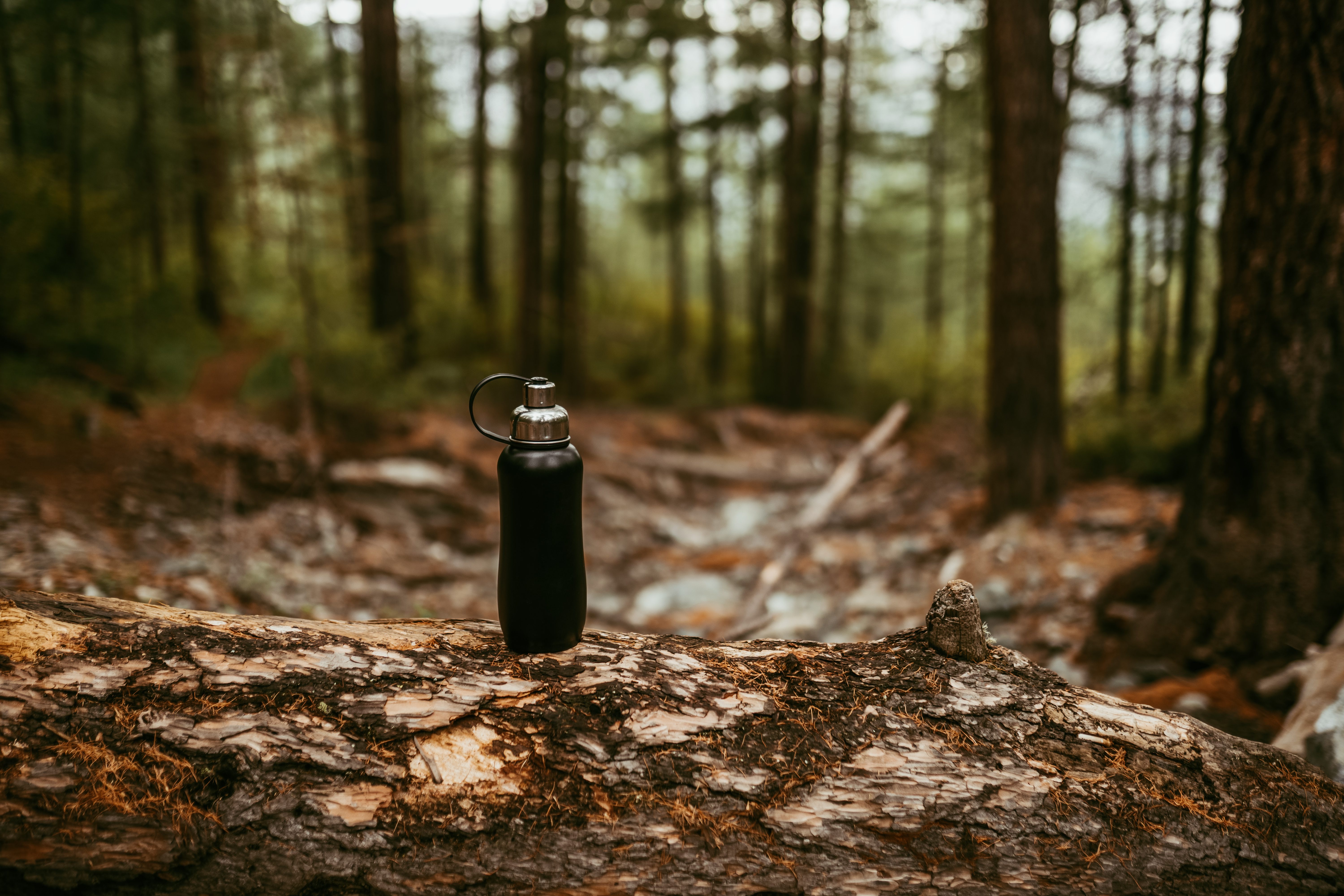 hiking Black steel bottle in the woods hiking